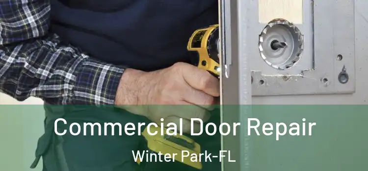  Commercial Door Repair Winter Park-FL