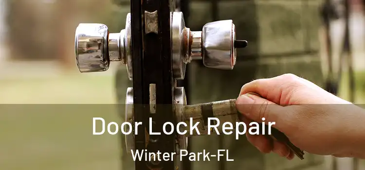 Door Lock Repair Winter Park-FL