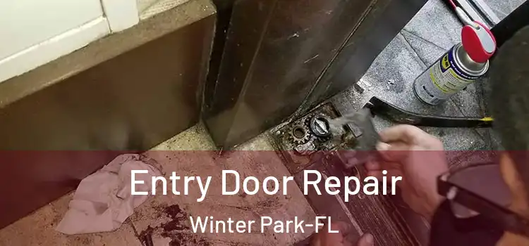 Entry Door Repair Winter Park-FL