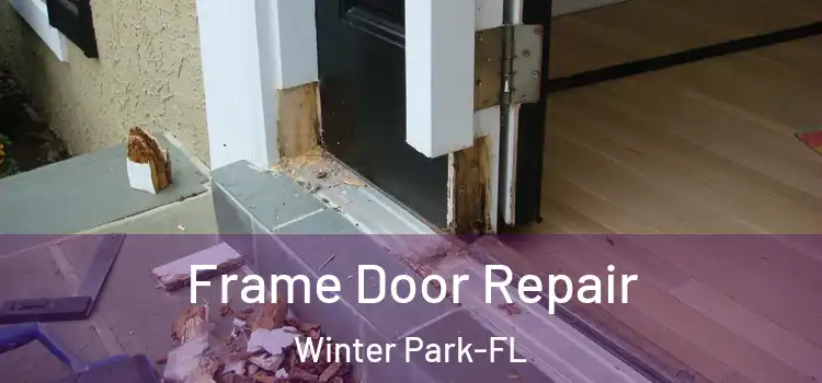 Frame Door Repair Winter Park-FL
