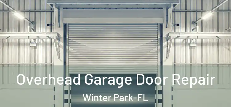 Overhead Garage Door Repair Winter Park-FL